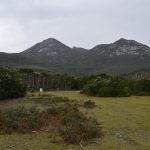 Bushwalking Flinders Island
