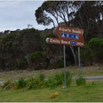 Camping Allports Flinders Island