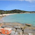 allports beach emita flinders island