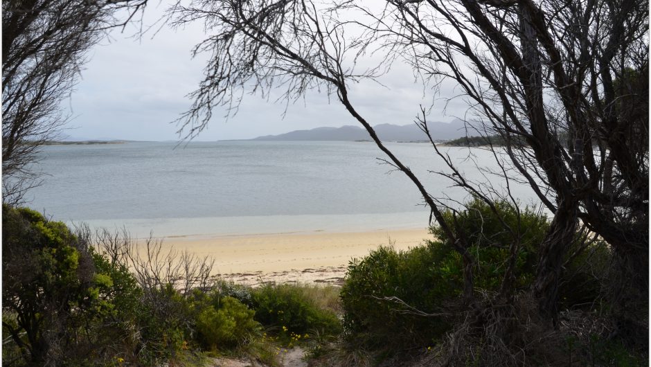 Camping Yellow Beach Flinders Island